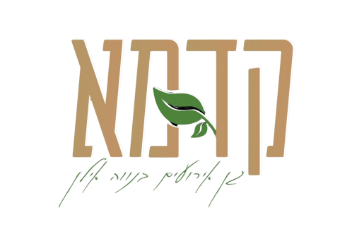 קדמא